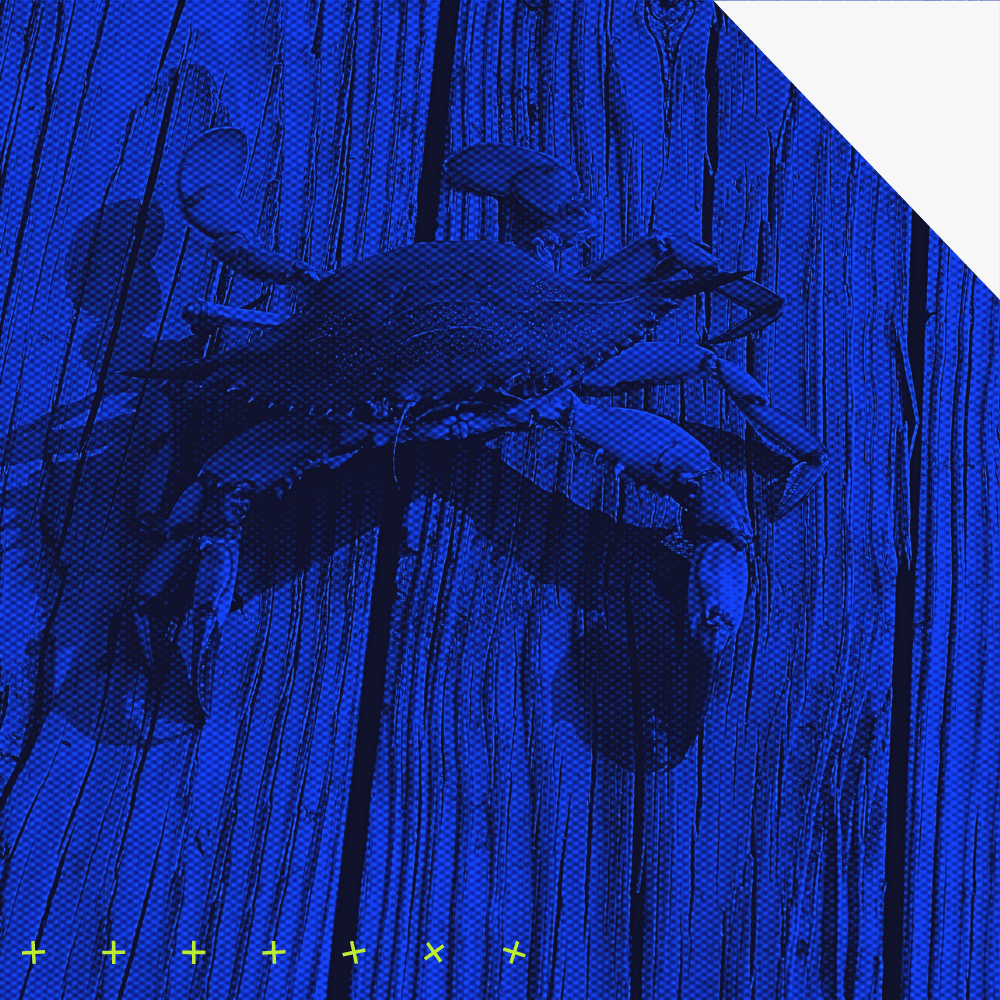 BaltimoreMD-ITChallenges-03