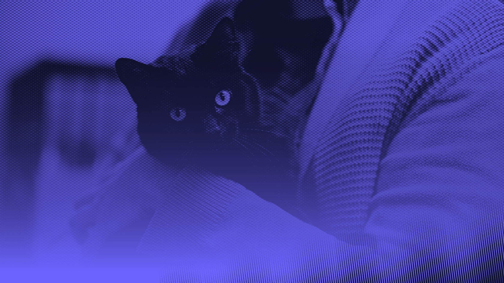 humane-society-nonprofit-bg